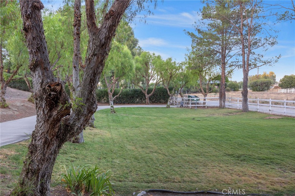 main property photo 56