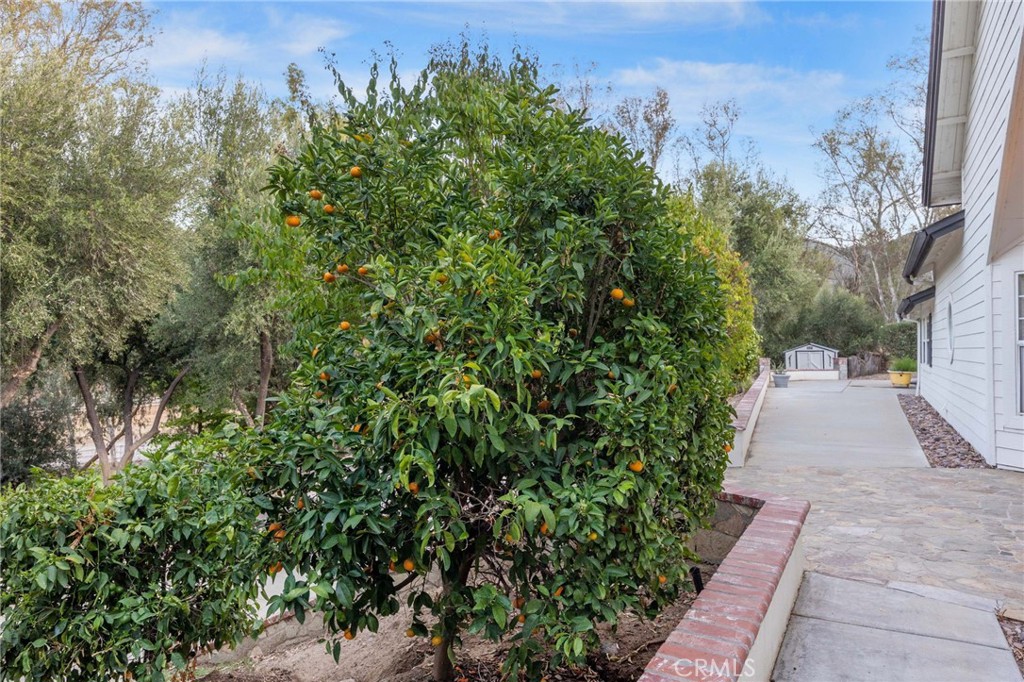 main property photo 59