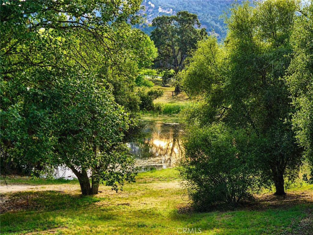 main property photo 74