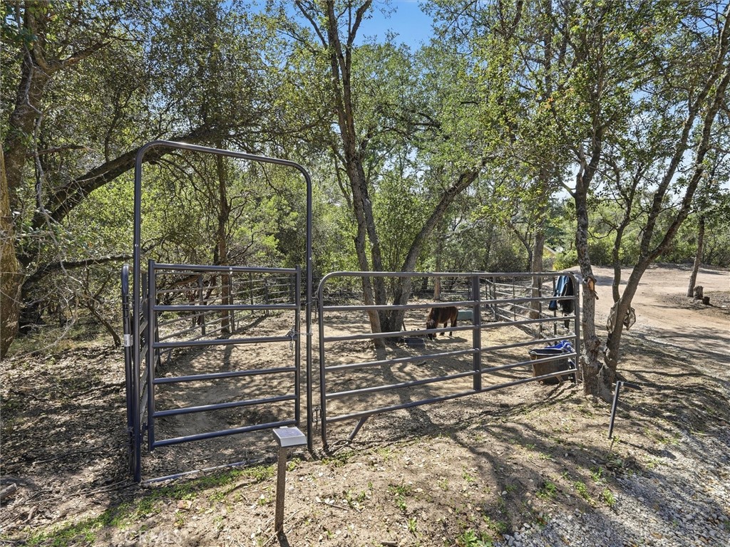 main property photo 58