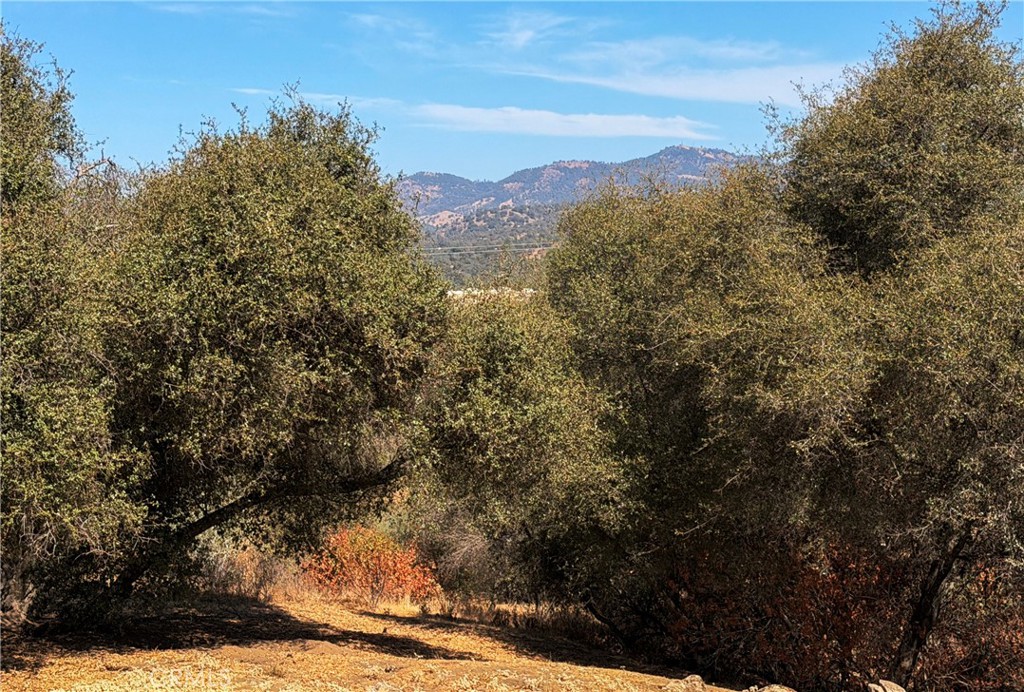 main property photo 49