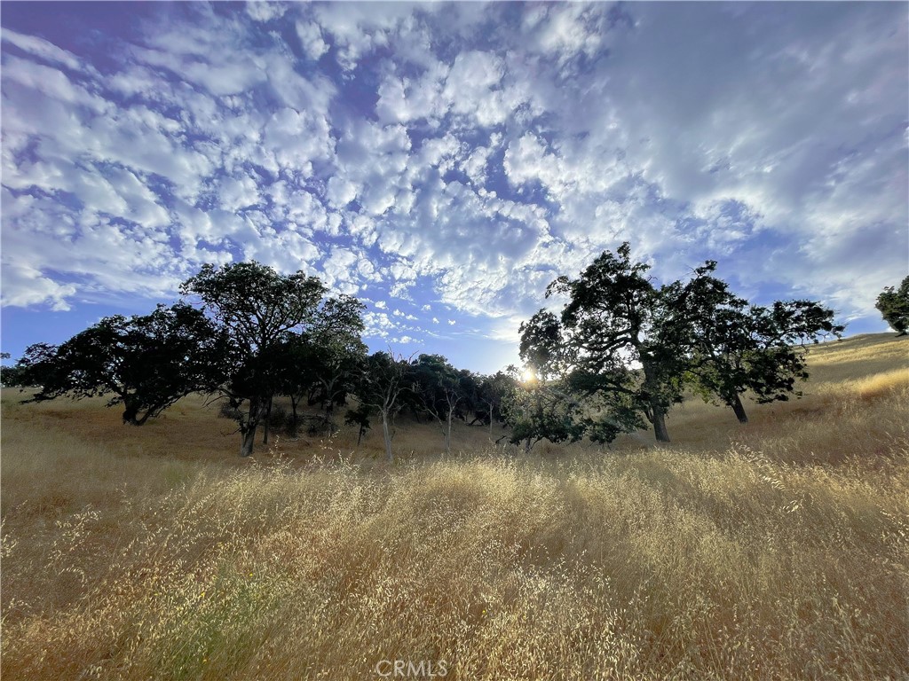 main property photo 60