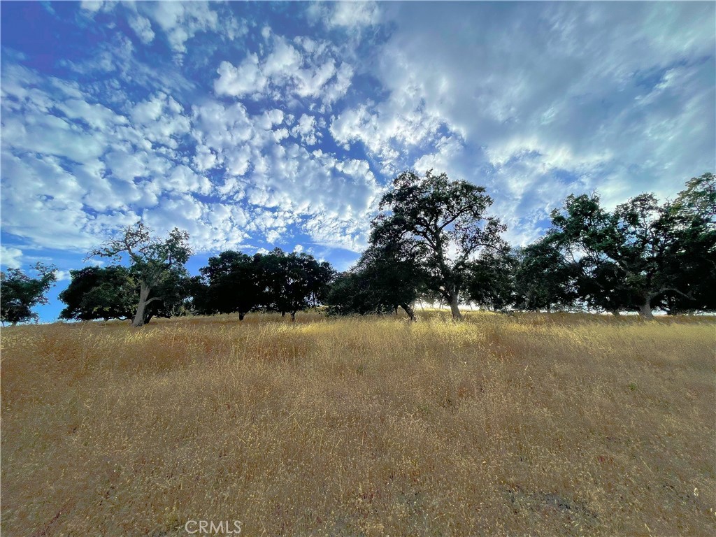 main property photo 63