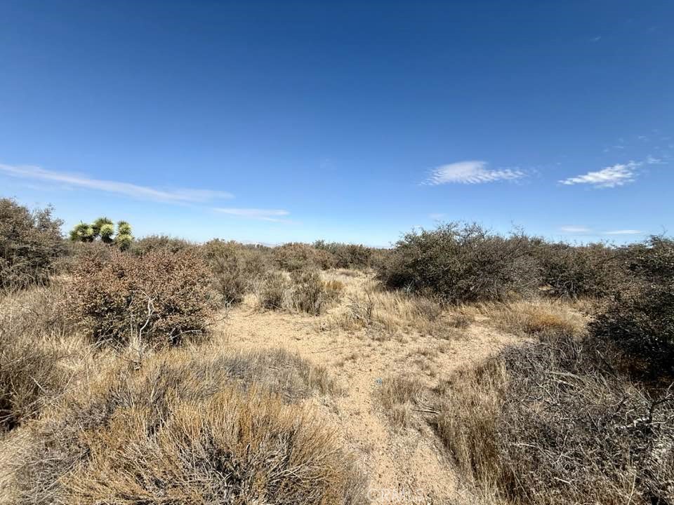 main property photo 10