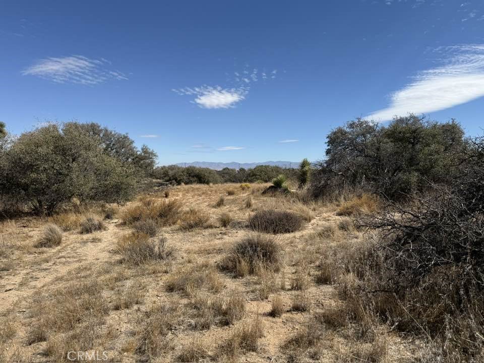 main property photo 13