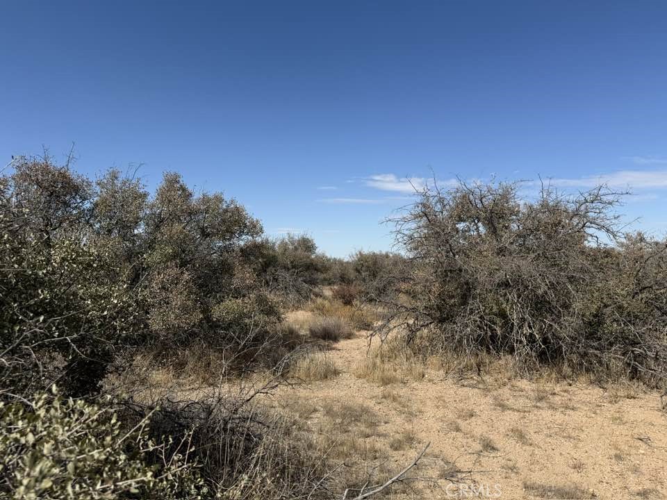 main property photo 4