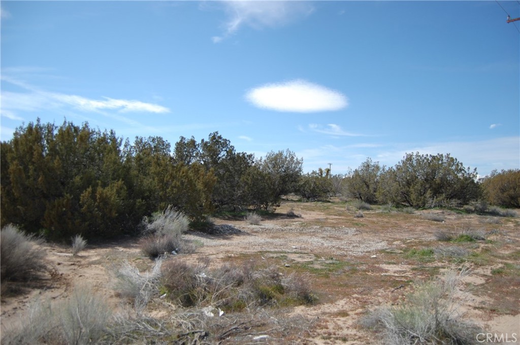 main property photo 7