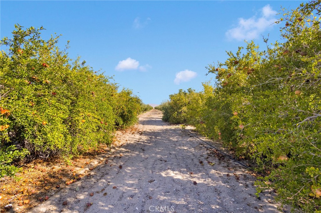 main property photo 70