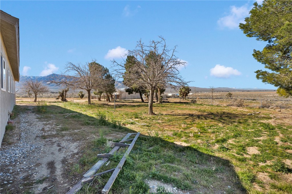 main property photo 28