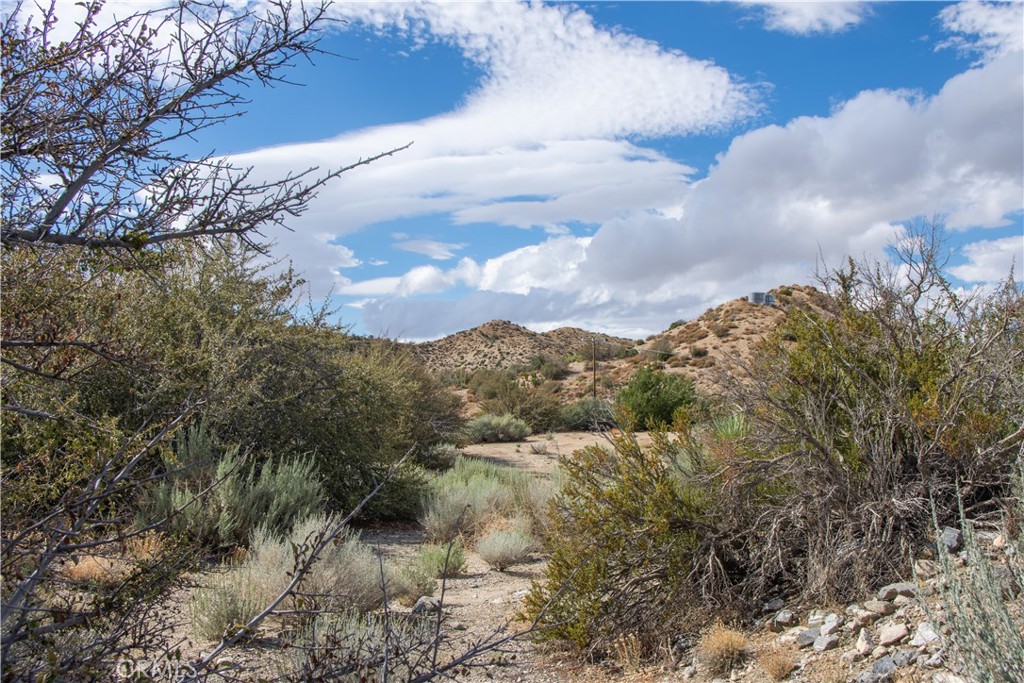 main property photo 6