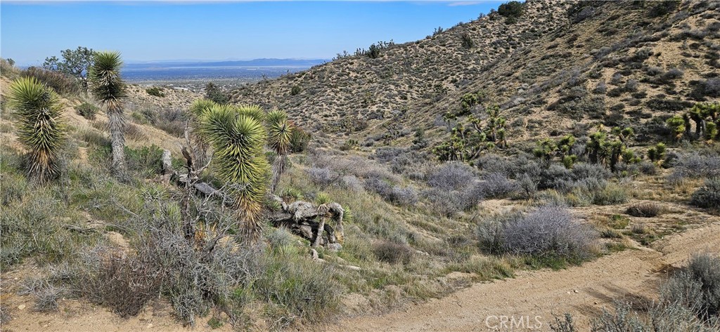 main property photo 10