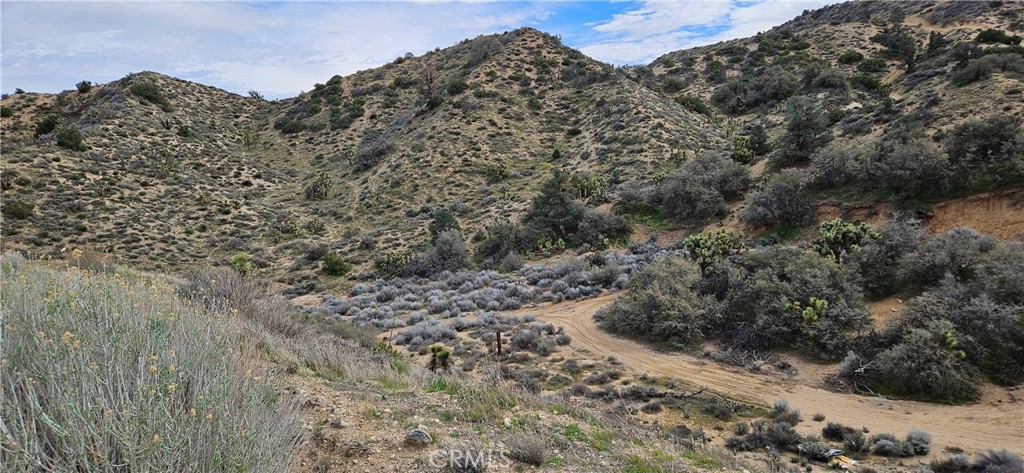 main property photo 21
