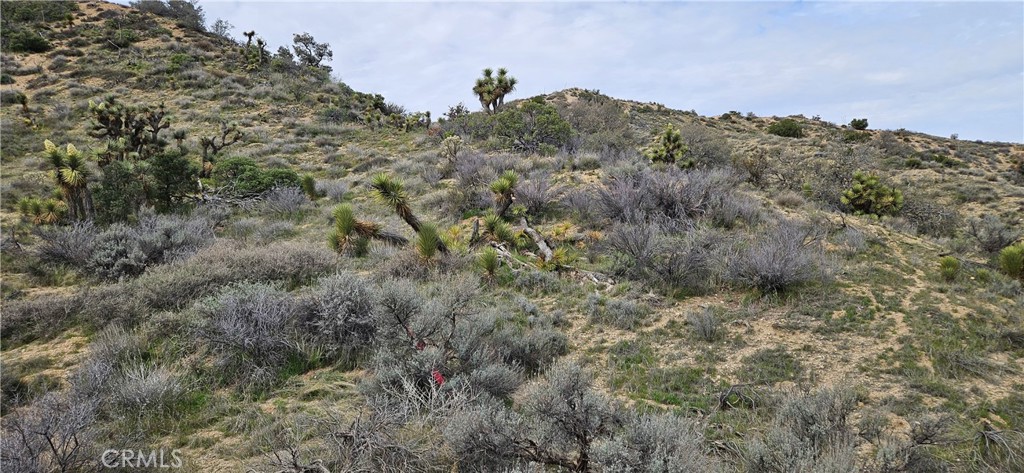 main property photo 30