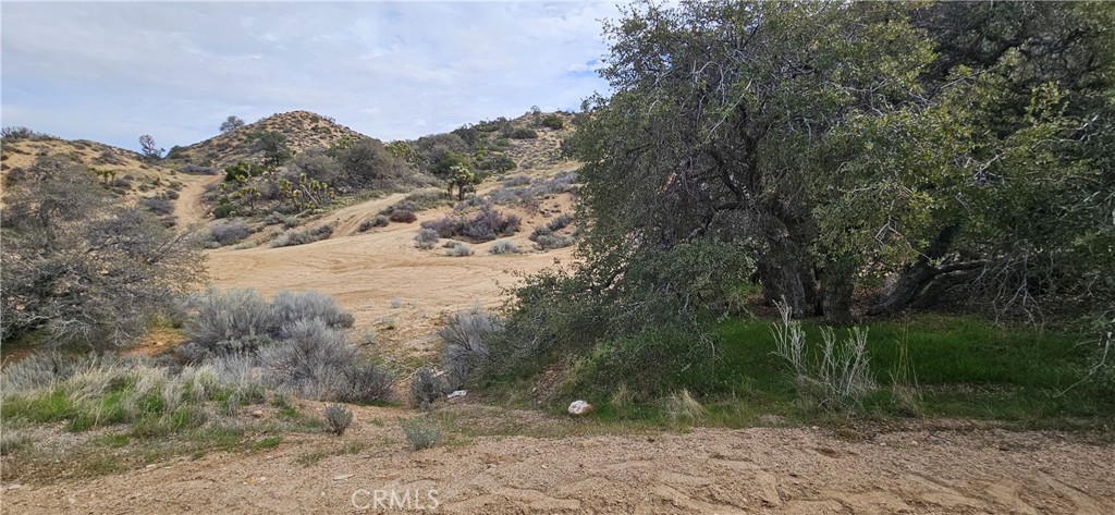 main property photo 4