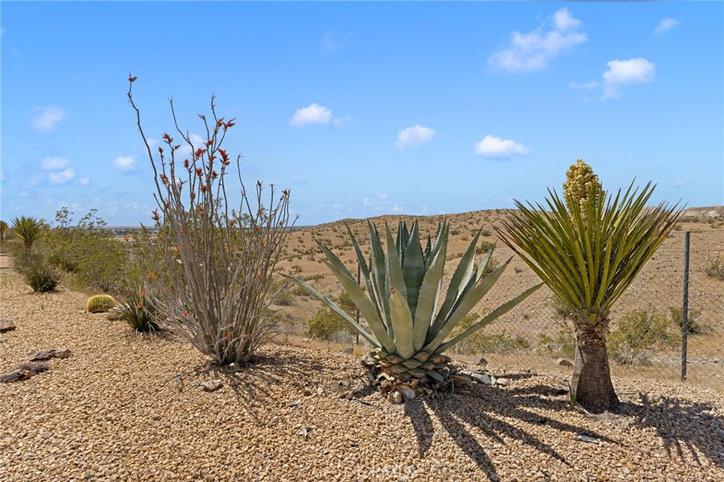 main property photo 55