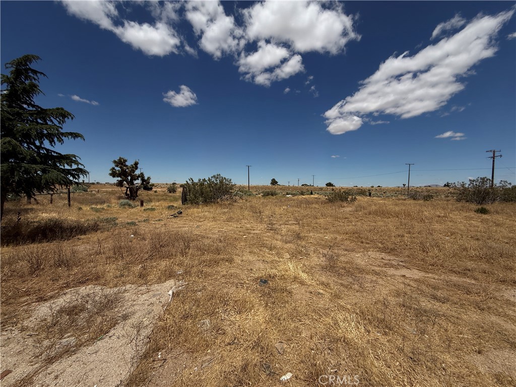 main property photo 14