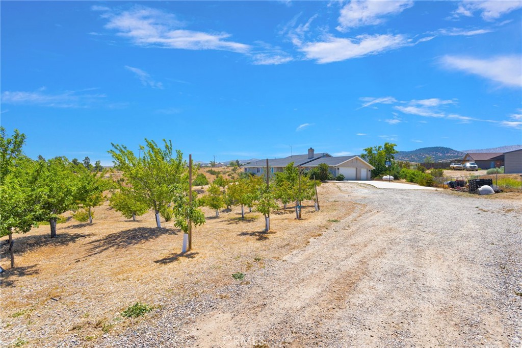 main property photo 54