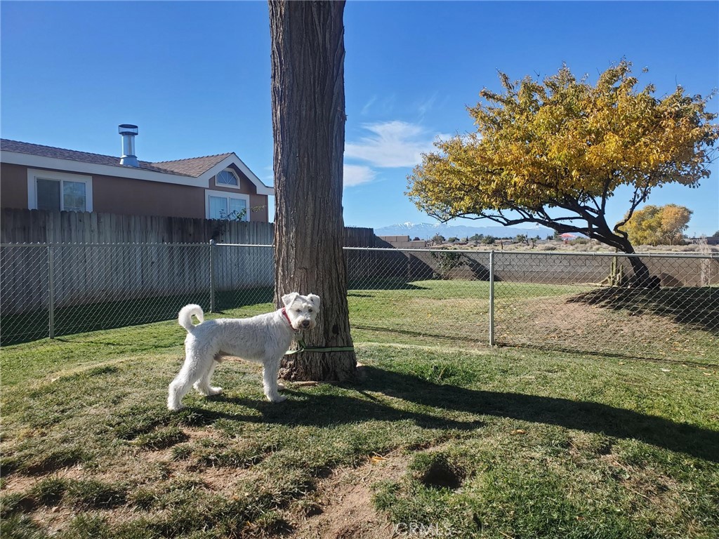 main property photo 37