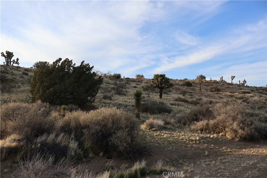 main property photo 13