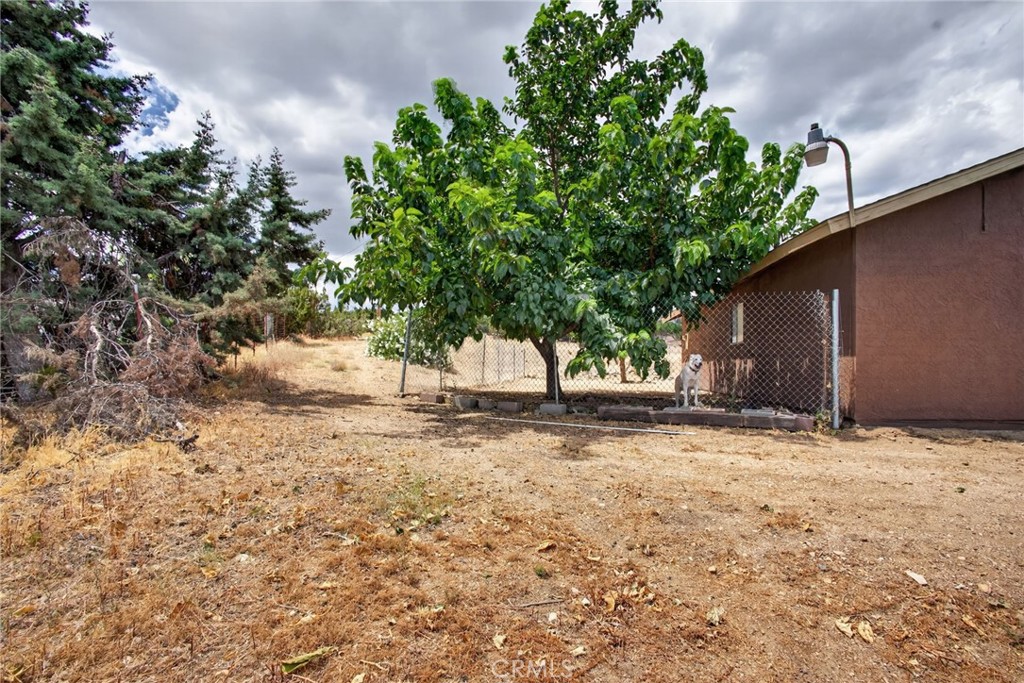 main property photo 28