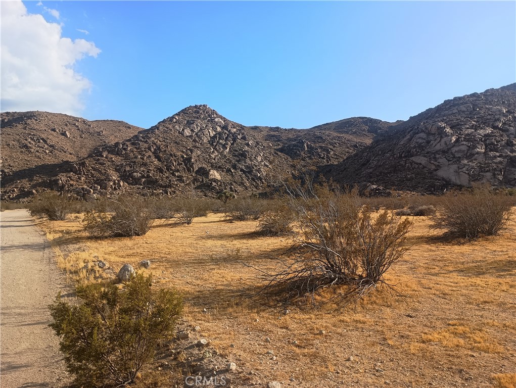 main property photo 1