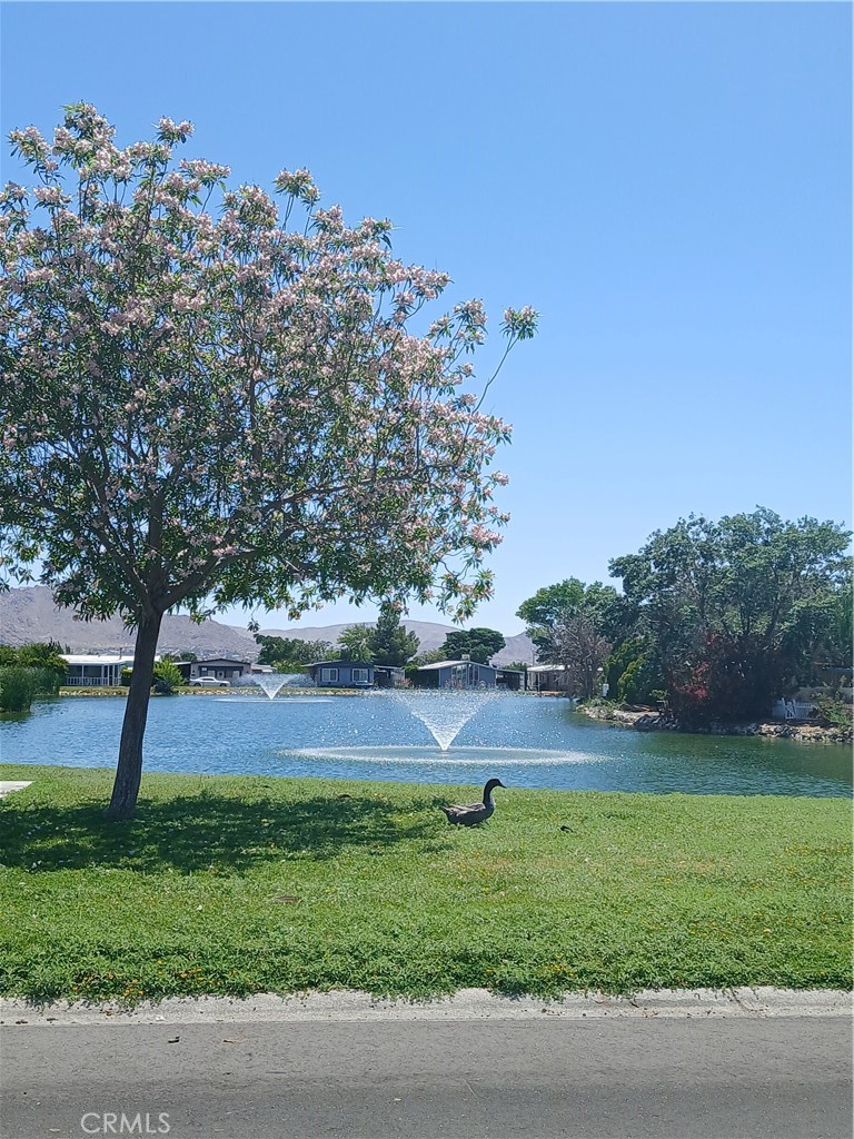 main property photo 65