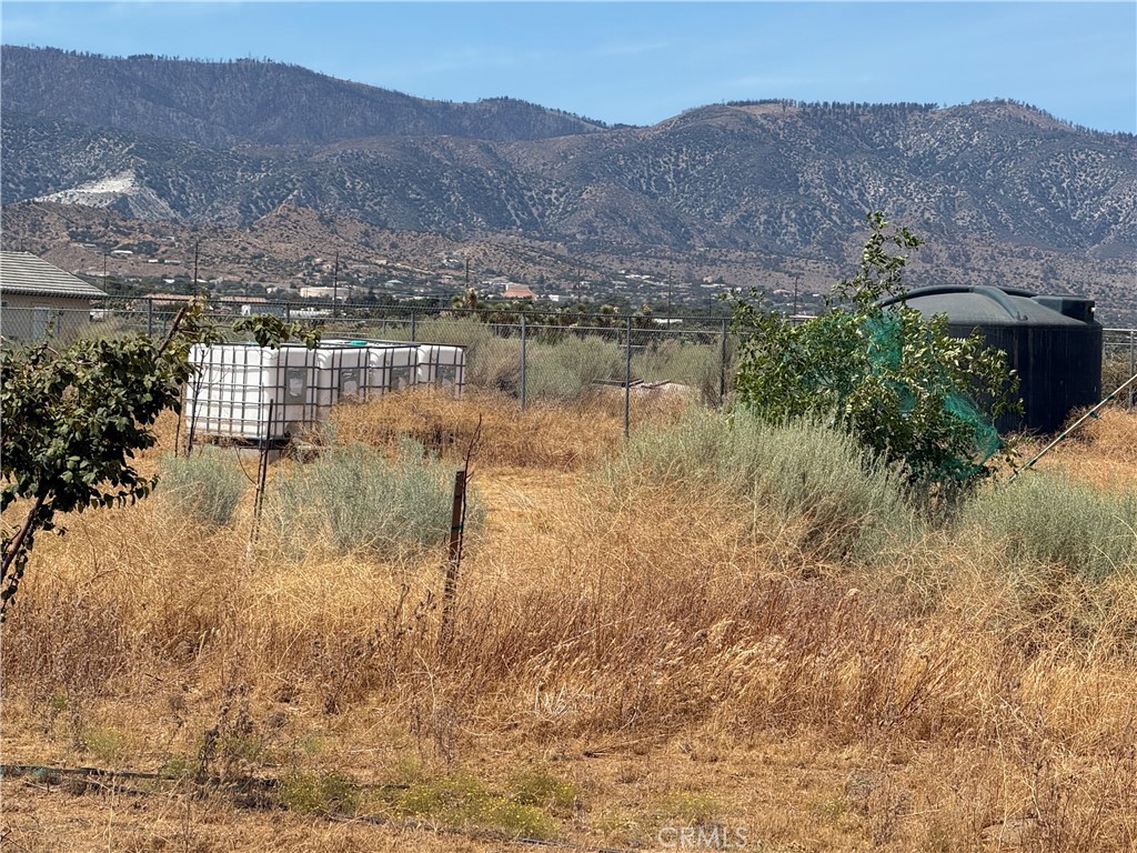 main property photo 17