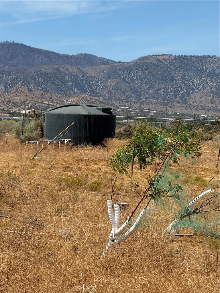 main property photo 18