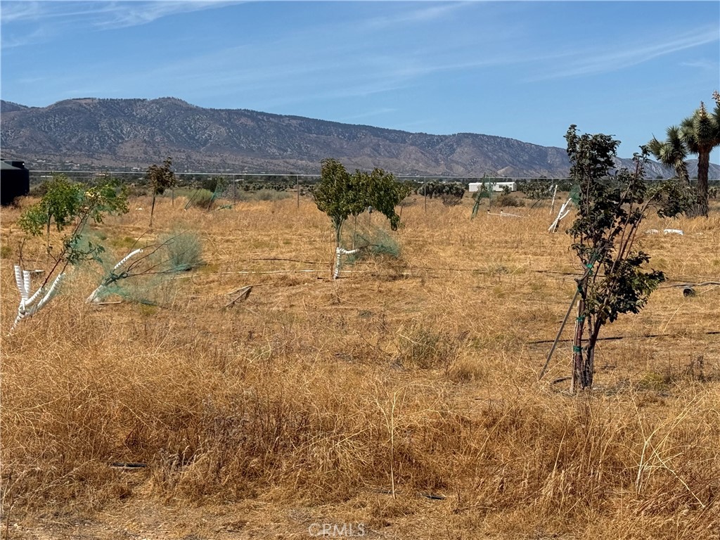main property photo 19