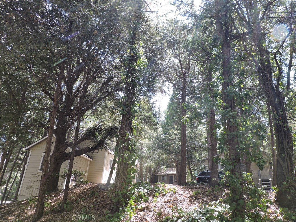 main property photo 46
