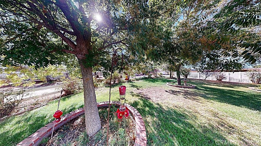 main property photo 54