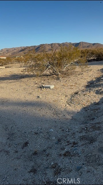 main property photo 11
