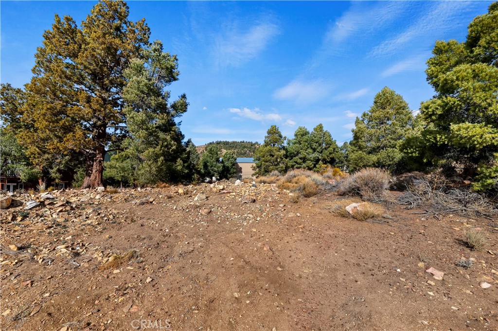 main property photo 5