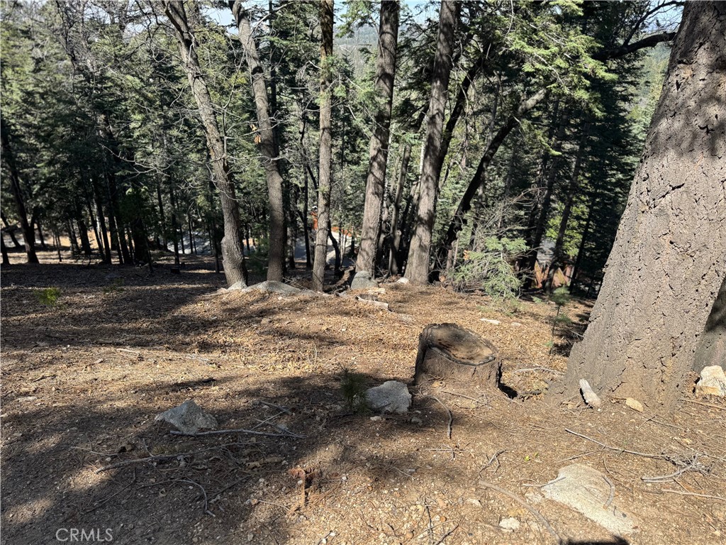 main property photo 10