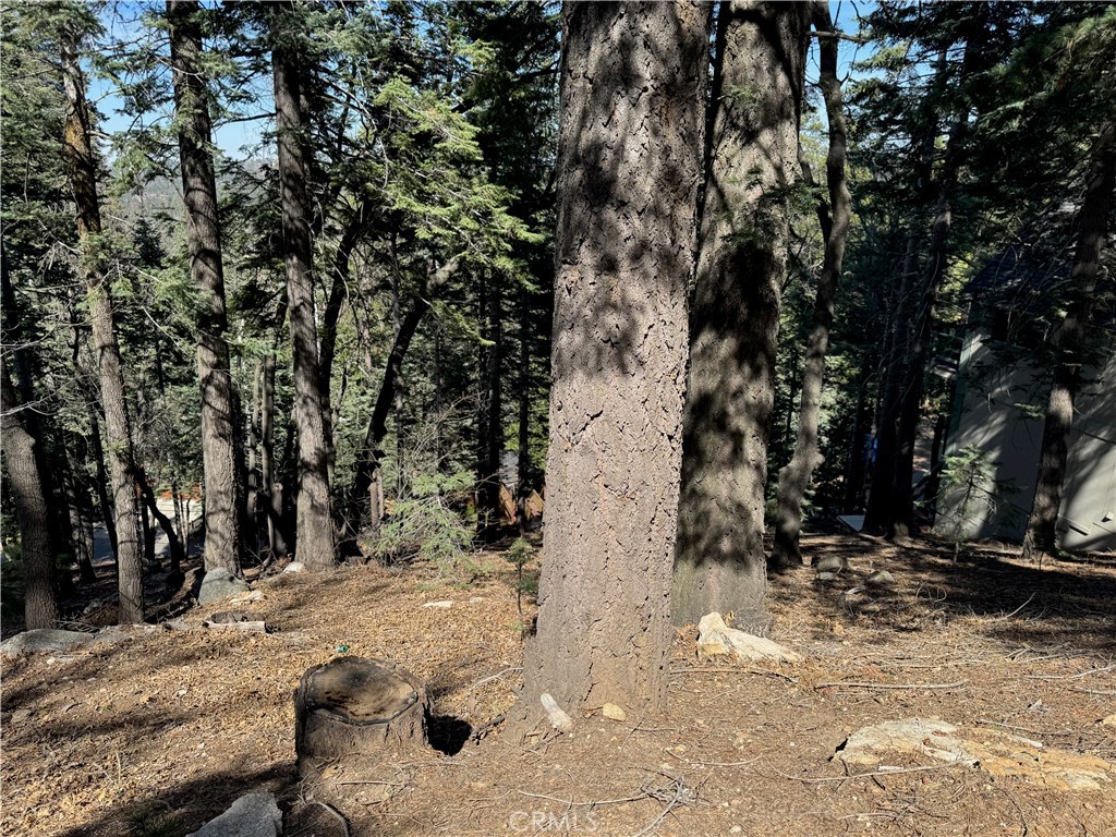main property photo 11
