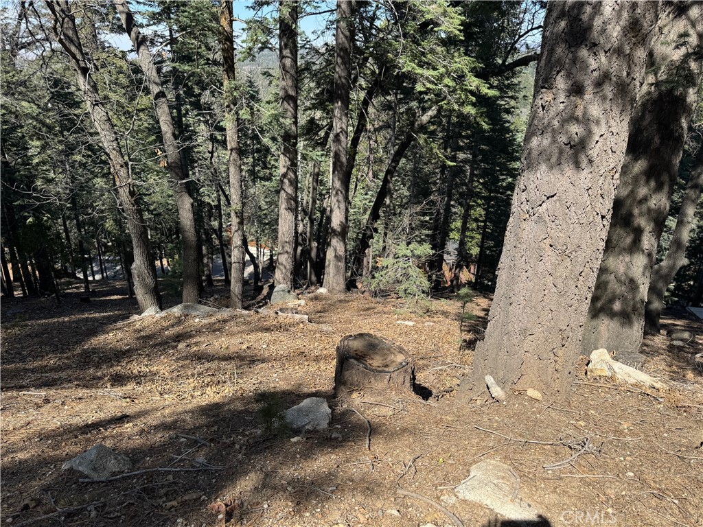 main property photo 9