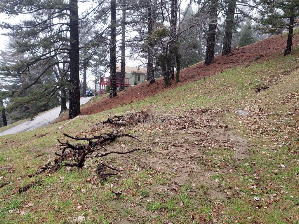 main property photo 6