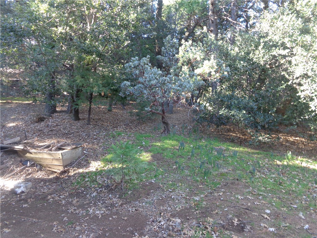 main property photo 41