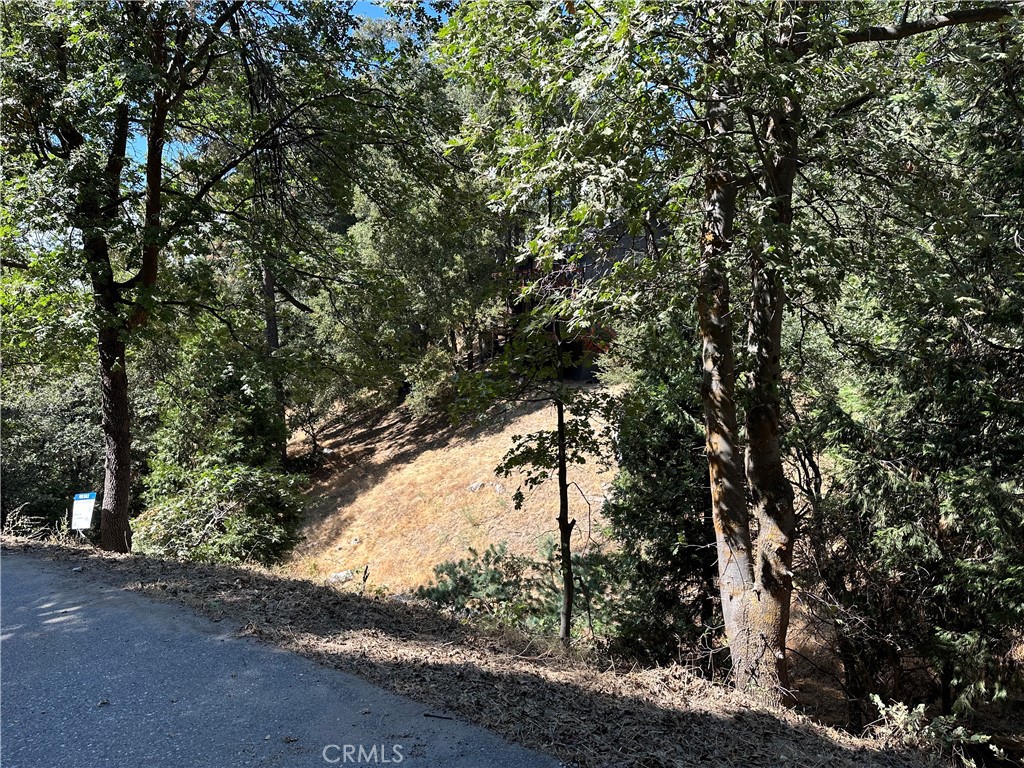 main property photo 28