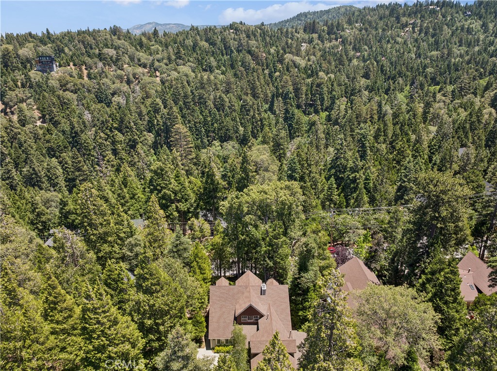 main property photo 61