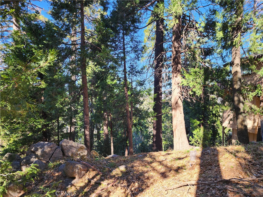 main property photo 24