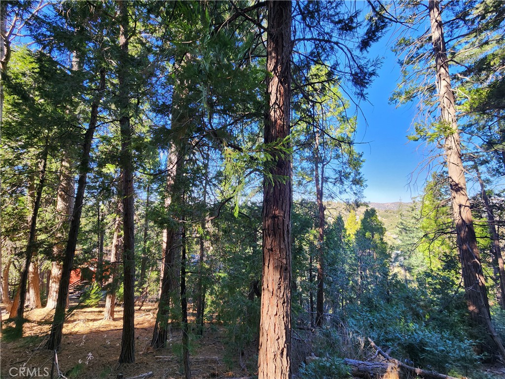 main property photo 28