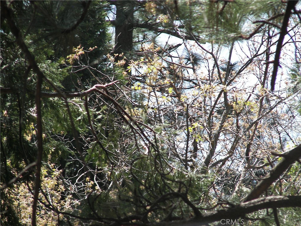main property photo 67
