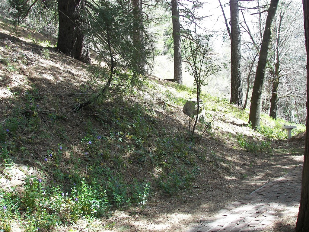main property photo 72