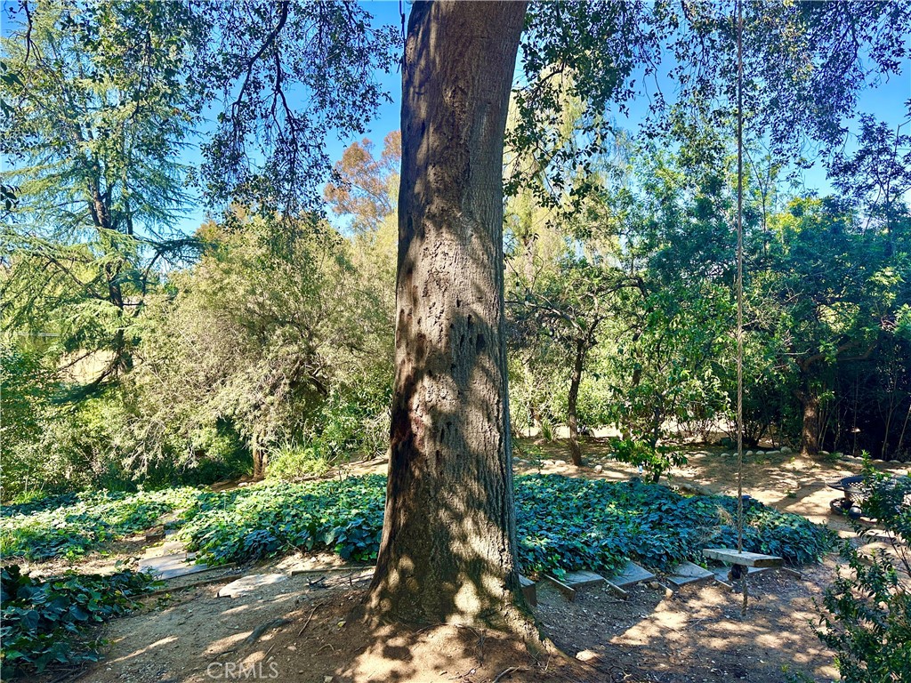 main property photo 66