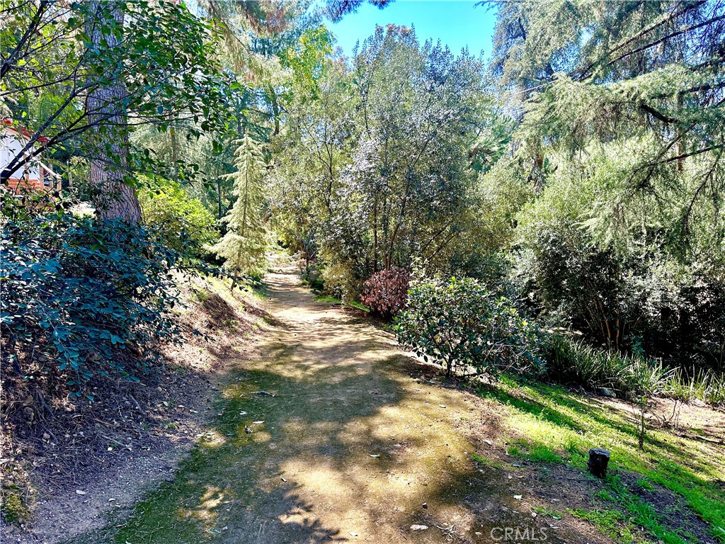 main property photo 67