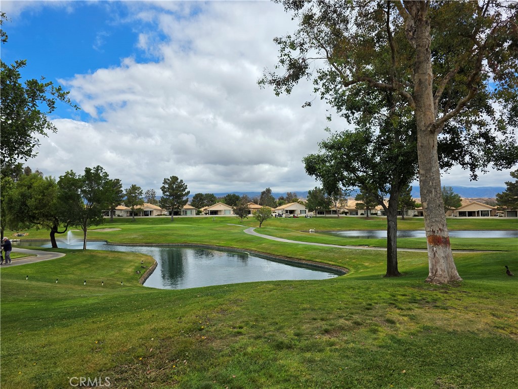 main property photo 41