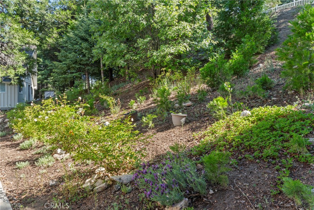 main property photo 58