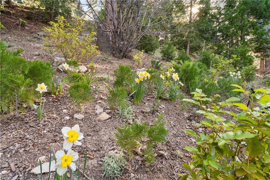 main property photo 59