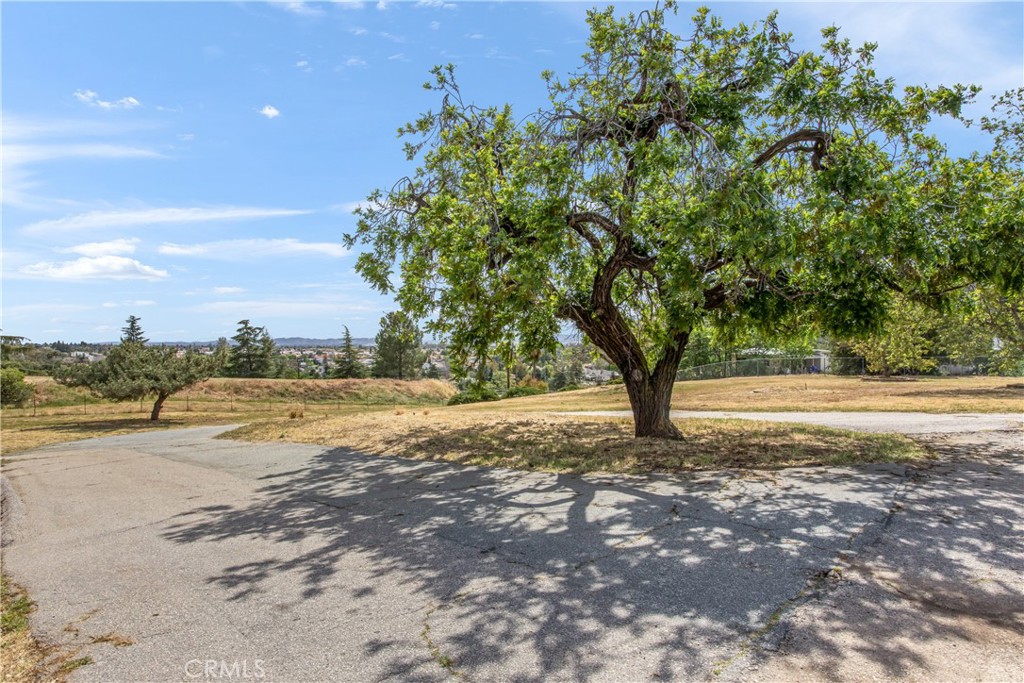main property photo 57
